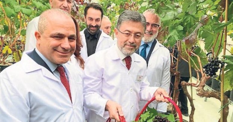Alaşehirli üzüm üreticilerine müjde