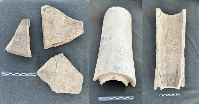 Moğolistan’da keşfedildi: Togu Balık İzmir’deki çalıştayda ele alındı