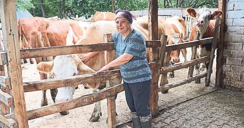 Edirneli kadın hibe 6 inekle çiftlik kurdu