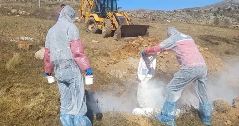 6 köye giriş çıkış yasaklandı: Bir ilde şarbon paniği