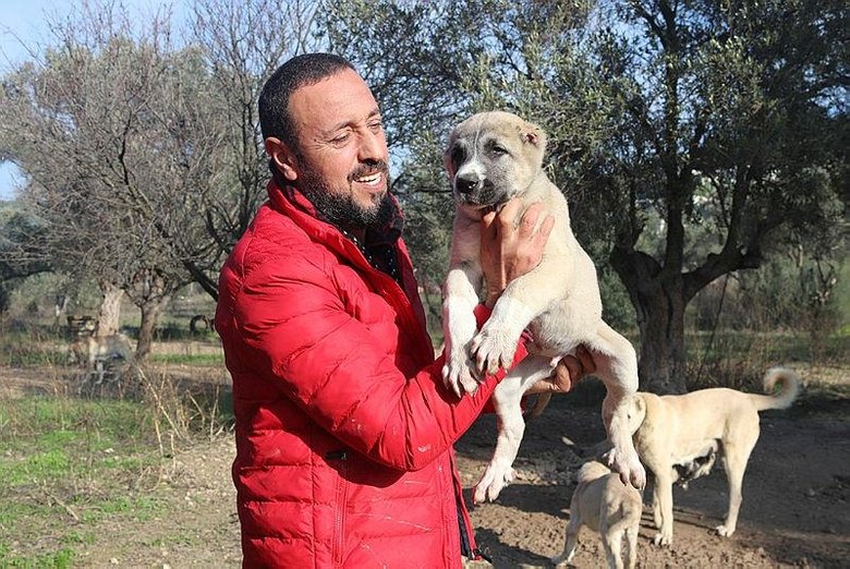 Köpek saldırırsa ne yapmalıyız? İşte kurtulmak için en iyi yöntem...