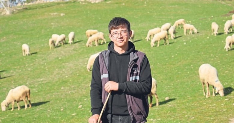 Üniversiteyi okudu, baba ocağı Balıkesir’e dönüp çoban oldu