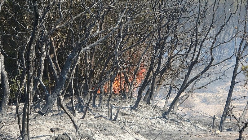 Çanakkale’de ormanlık alanda yangın çıktı