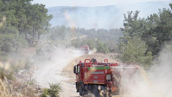 canakkalede-korkutan-orman-yangini-1755090237639.jpeg