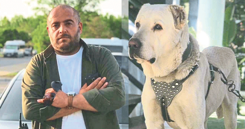 kayip kopegini bulana odul verecek izmir haberleri