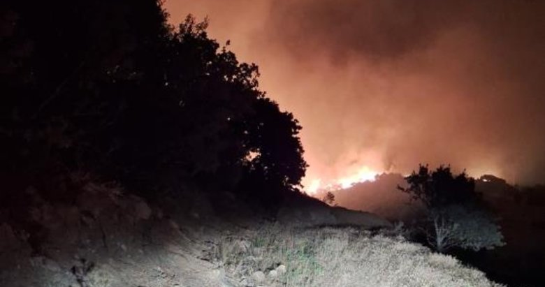 Manisa’nın Köprübaşı ilçesinde de orman yangını başladı