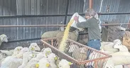 Merası yanan köylülere destek
