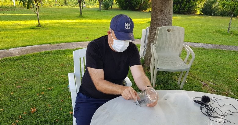 O böcek İzmir’de de görüldü! Büyük panik yarattı