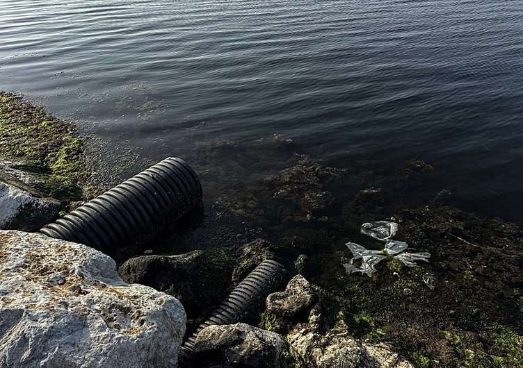İzmir Körfezi’ndeki çalışmalar tamamlandı! Aşırı kirliliğinin 4 mevsim sürdüğü belirlendi