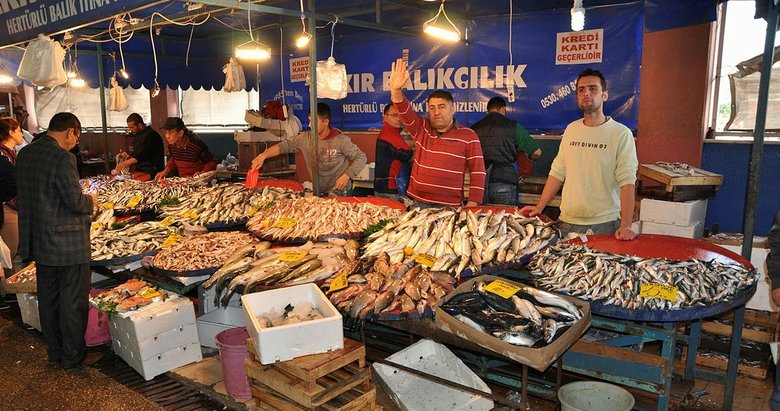 İzmir Aliağa’da balık bolluğu
