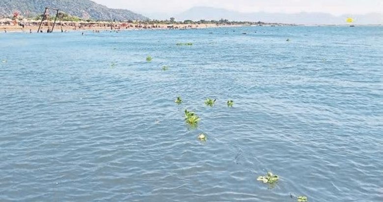 Festivalin itibarı, halk sağlığından önemliymiş!