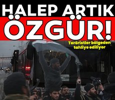 Halep artık özgür