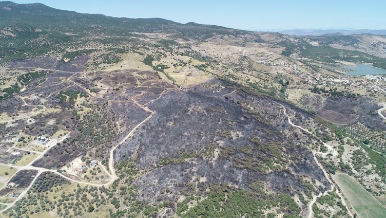 Dikili’deki yangının kül ettiği bölge, havadan görüntülendi