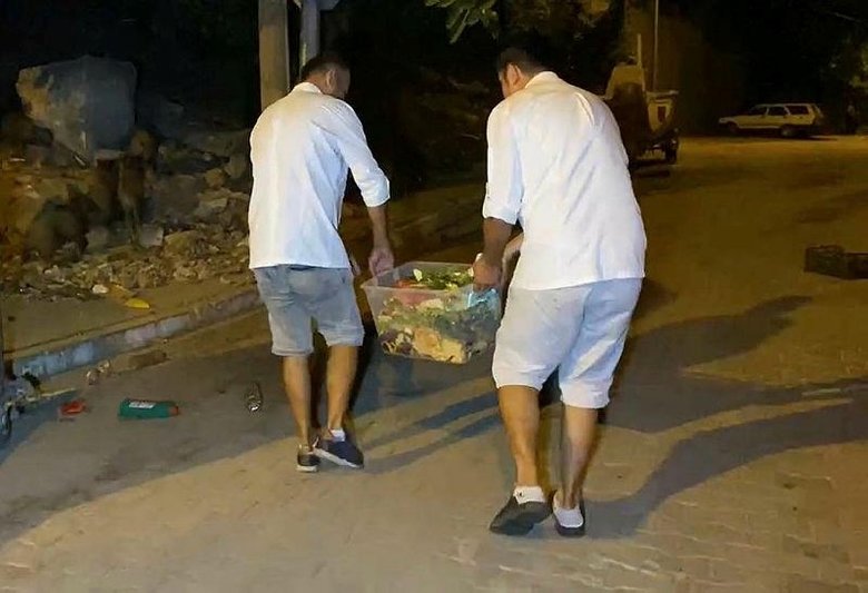 Fethiye merkezine inen domuzları, turistler ve halk elleriyle besliyor