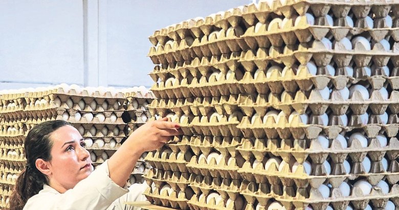 Türkiye Avrupa’nın yeni yumurta üssü oldu