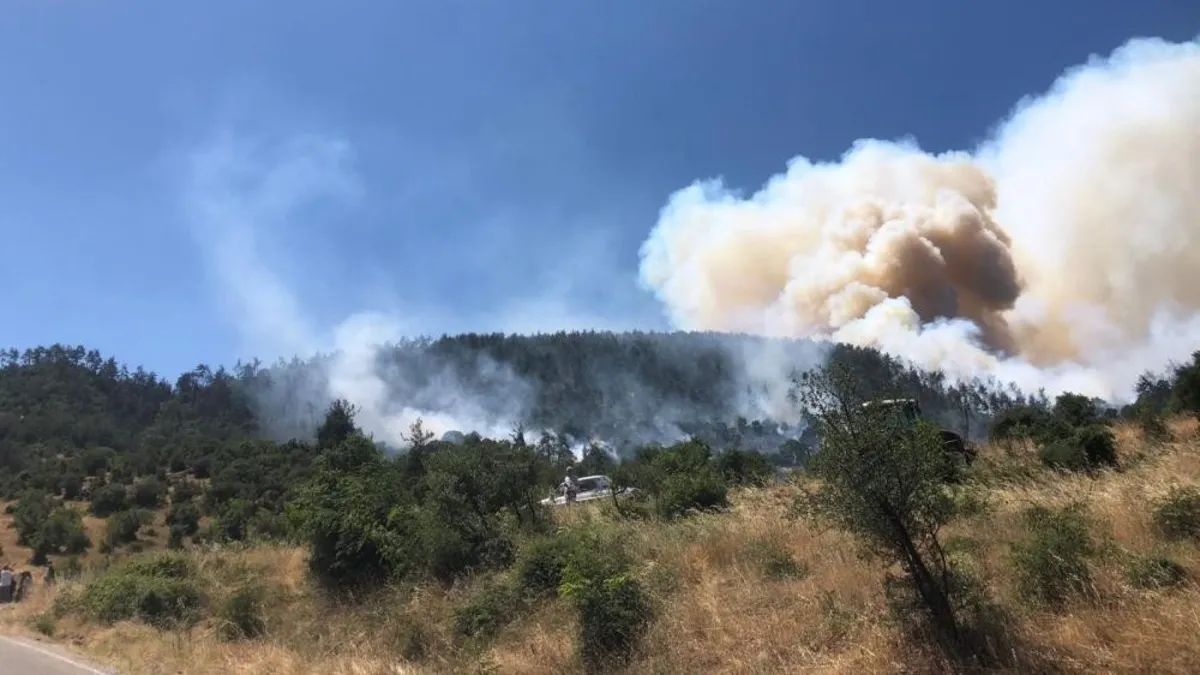 Balıkesir'in Kepsut İlçesinde Orman Yangını Çıktı: Havadan ve Karadan Müdahale Başlatıldı