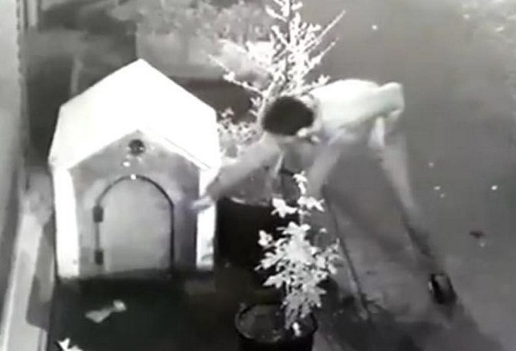 İzmir’de akılalmaz olay! Köpeği uyandırıp...