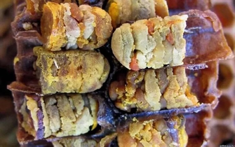 Vitamin deposu ’Perga’ nedir? Nasıl tüketilmelidir?