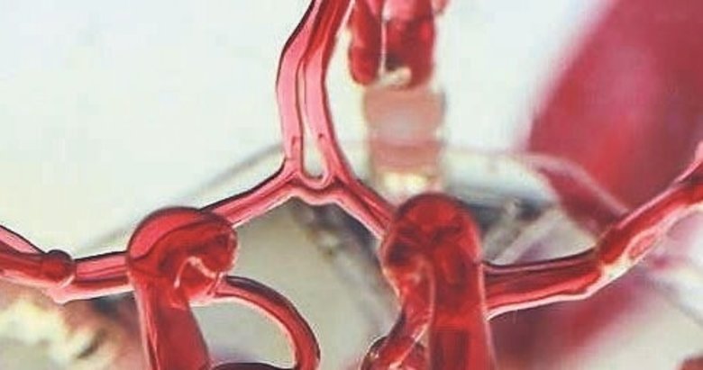 Damarlar içinde yüzen robot geliştirildi