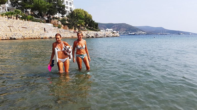 Bodrum’da sörf yapan köpek ilgi odağı oldu