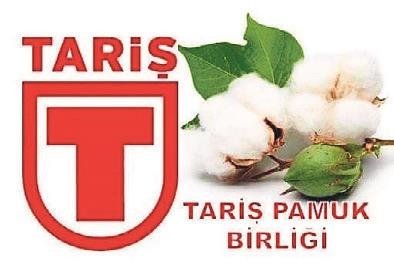 TARİŞ küllerinden yeniden doğdu