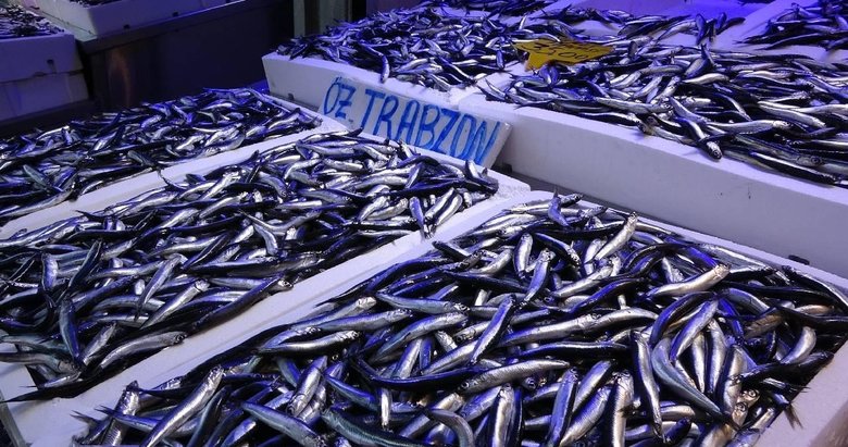 Hamsi avcılığı denizden tezgaha takip ediliyor