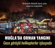 Muğla’daki yangın yolu kapattı