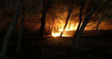 Çanakkale Ayvacık’ta orman yangını! 1 köy tedbiren boşaltıldı