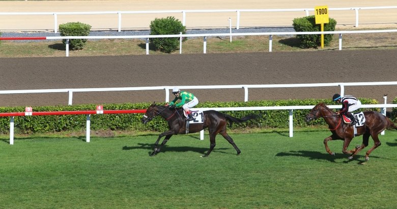 95. Gazi Koşusu’nun tarihi değişti! Gazi Koşusu ne zaman?