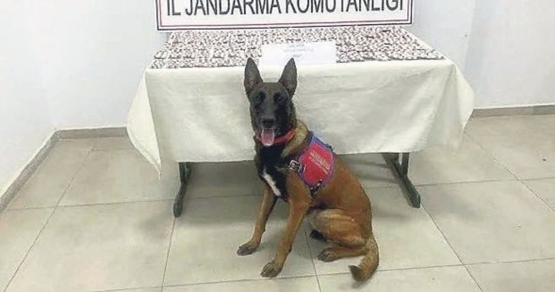 Uyuşturucu satışı yapılan mekana baskın: 1 tutuklama