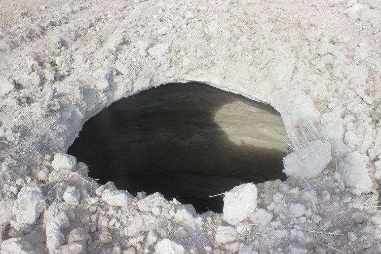 Korkutan görüntü! Tarlada çalışırken fark etti