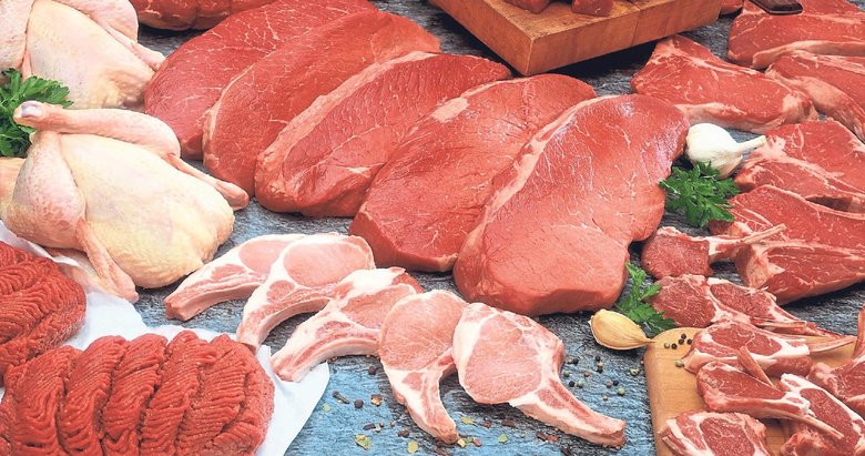 Sosyal medyanın yeni trendi: Aslan diyeti