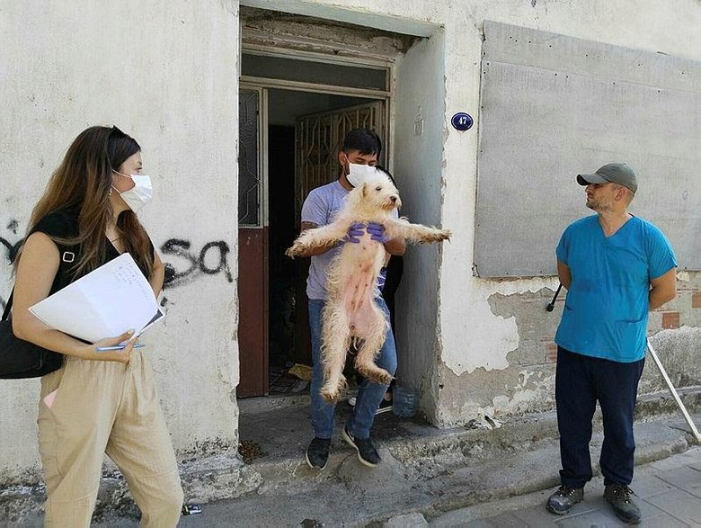 İzmir'de eziyet evi: Ekipler 47 köpeği kurtardı