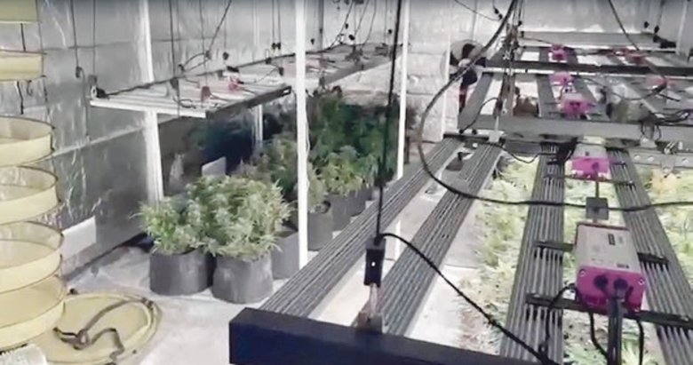 Evde sera kurup esrar üreten iki kişi yakalandı