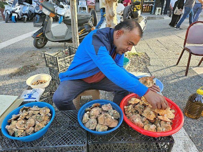 Kilosunu 200 liraya satıyorlar! Kırmızı melki sezonu başladı