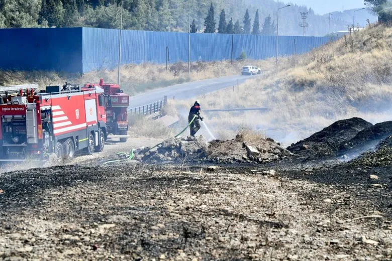 İzmir’deki yangında yürekleri ısıtan görüntü: Dumandan etkilenen bukalemunu hayata döndürdü