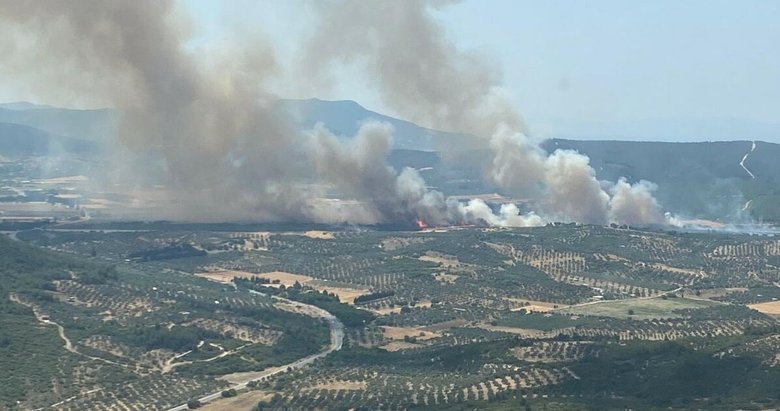 Son dakika: İzmir’de orman yangını kontrol altında