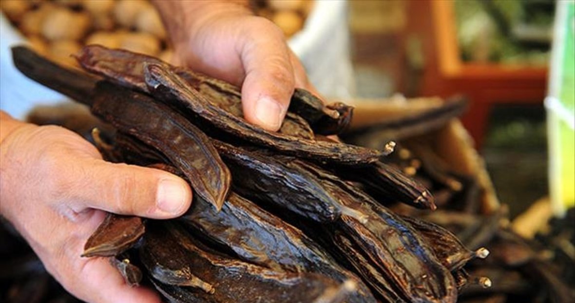 her derde deva keciboynuzu yasam