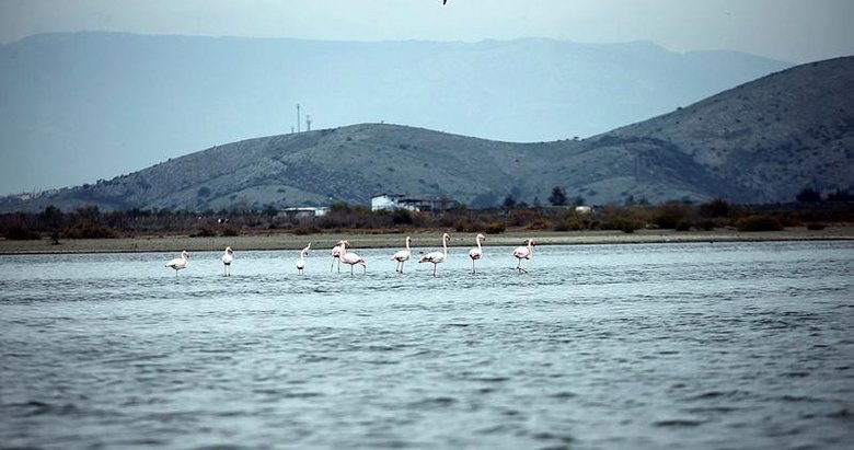 Yağmurlar, kuraklığın etkilediği Bafa Gölü’ne yaradı