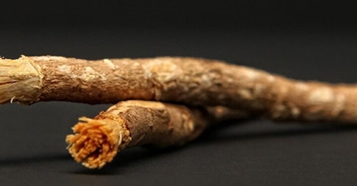 Bir dal, onlarca fayda! Misvak gerçeği şoke ediyor: Misvak nedir? Ne işe yarar?