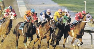 Altılı ganyan 23.428 lira verdi