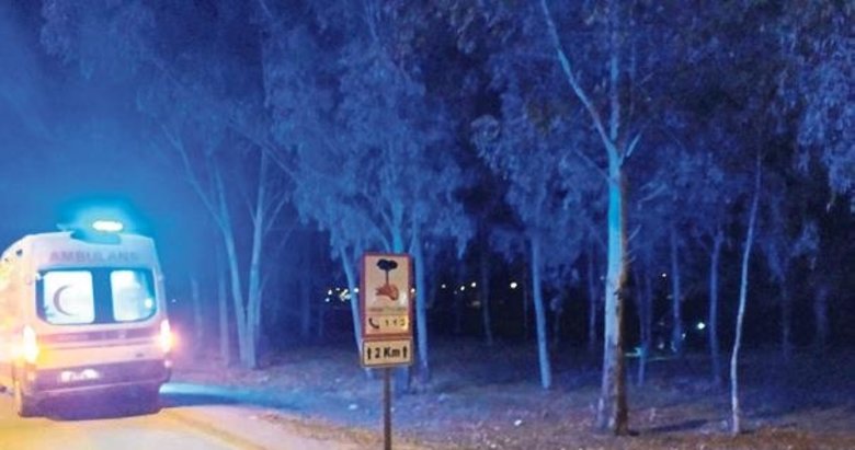 Ağaca asılı bulundu