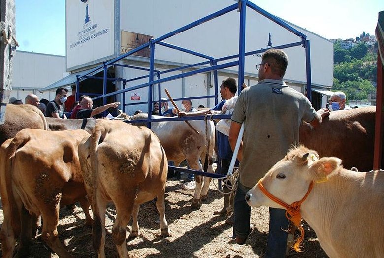 İzmirliler, kurbanlıklarını kesmek için kesim yerlerine koştu