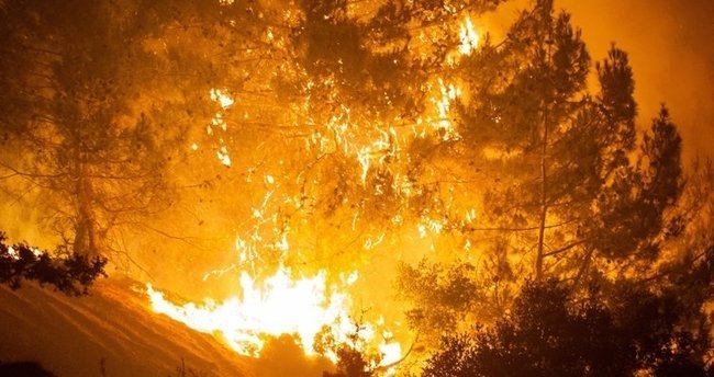 Yangının acı bilançosu: 60 bin hektar kül oldu!