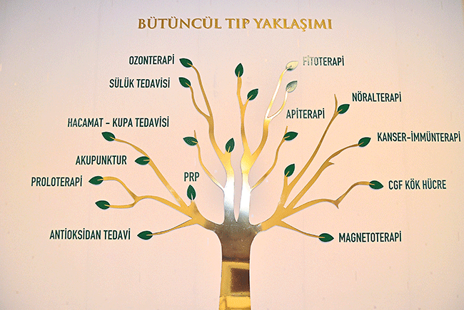 Modern Ve Geleneksel Tip Birlesti Sarmasik Haberleri