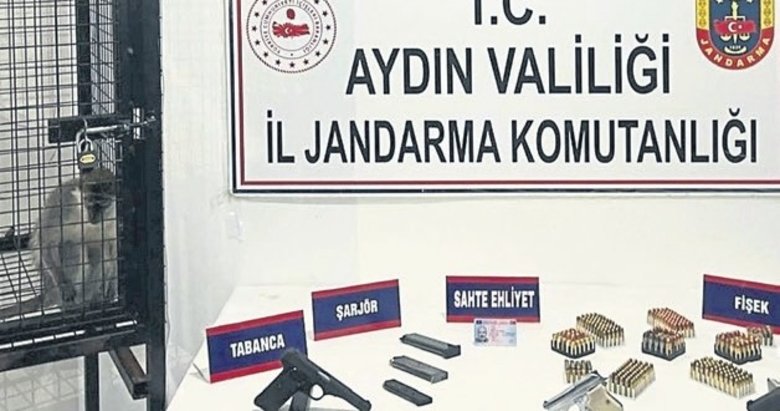 Evden cephanelik ve maymun çıktı
