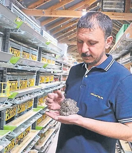 kucuk-kanatlinin-buyuk-ekonomisi-1786481655269.jpeg
