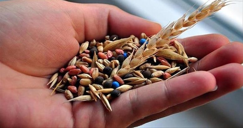 Yerli tohum üretiminde rekor artış! 1 milyon 59 bin tona yükseldi
