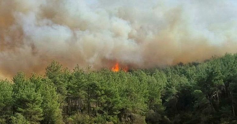 Çanakkale’de orman yangını! Ekiplerin müdahalesi sürüyor