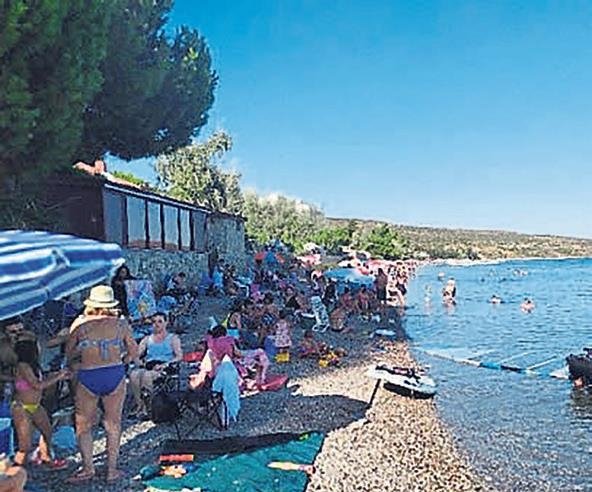 Minik Serçe’ye kaçak şoku